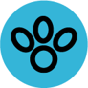 petitek-landing-1zm.pages.dev favicon